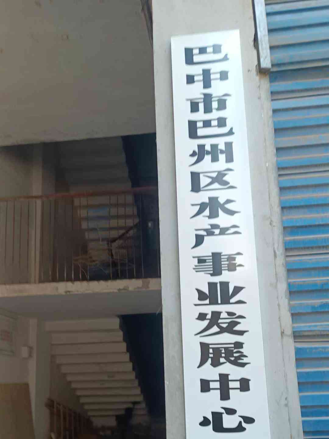  冷库惊现国家保护动物尸体，巴中海洋乐园再次陷入风波
