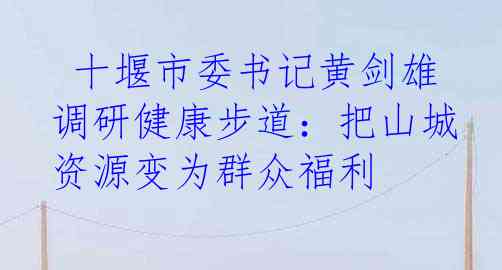  十堰市委书记黄剑雄调研健康步道：把山城资源变为群众福利