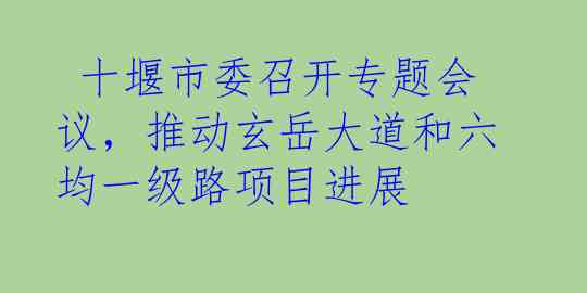 十堰市委召开专题会议，推动玄岳大道和六均一级路项目进展