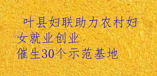  叶县妇联助力农村妇女就业创业 催生30个示范基地