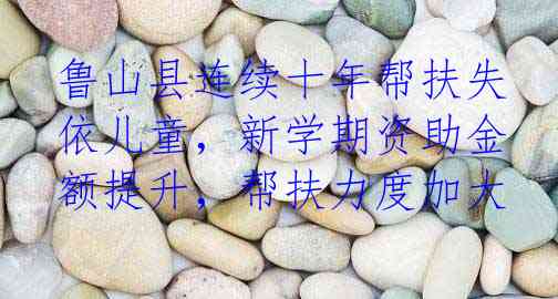 鲁山县连续十年帮扶失依儿童，新学期资助金额提升，帮扶力度加大