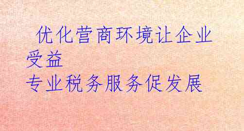  优化营商环境让企业受益 专业税务服务促发展