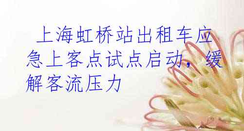  上海虹桥站出租车应急上客点试点启动，缓解客流压力
