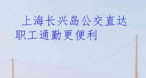  上海长兴岛公交直达 职工通勤更便利