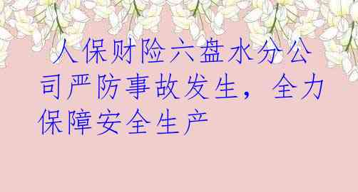  人保财险六盘水分公司严防事故发生，全力保障安全生产