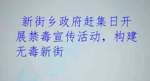  新街乡政府赶集日开展禁毒宣传活动，构建无毒新街