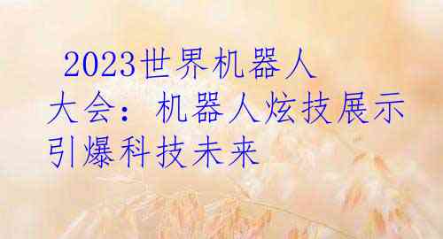  2023世界机器人大会：机器人炫技展示引爆科技未来
