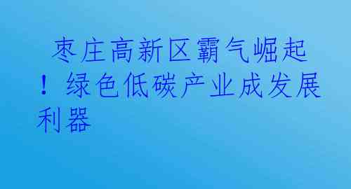  枣庄高新区霸气崛起！绿色低碳产业成发展利器