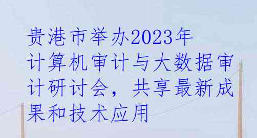 贵港市举办2023年计算机审计与大数据审计研讨会，共享最新成果和技术应用