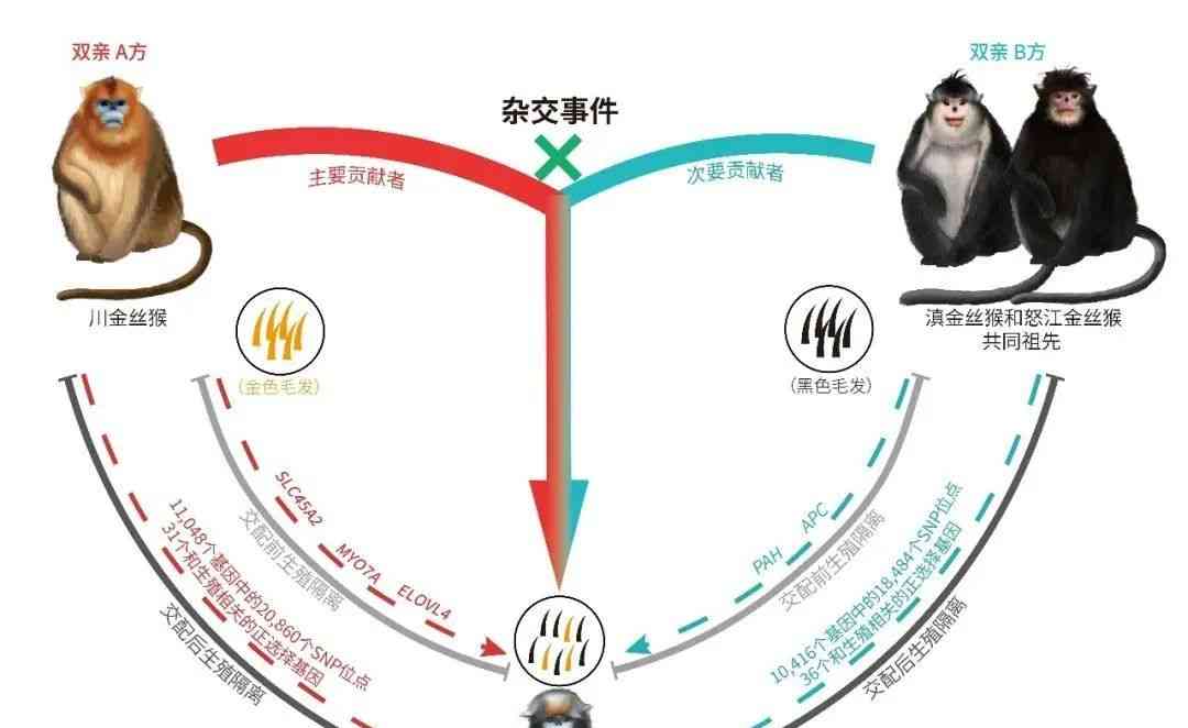  “灵长类基因组计划”获奖，透视人类起源与演化奥秘