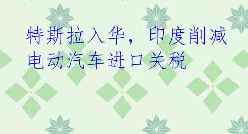 特斯拉入华，印度削减电动汽车进口关税