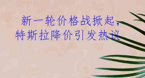  新一轮价格战掀起，特斯拉降价引发热议