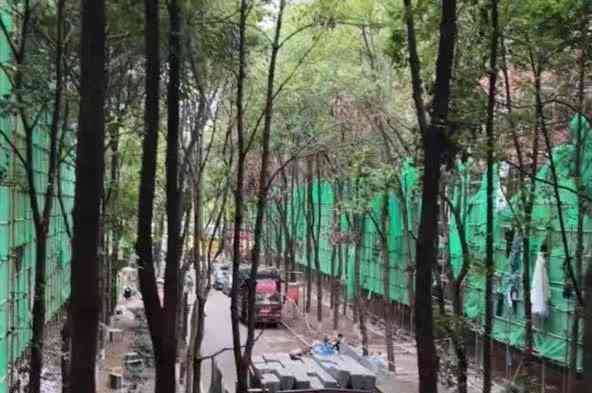 长沙医学院宿舍装修延误 学生被迫居住在施工现场