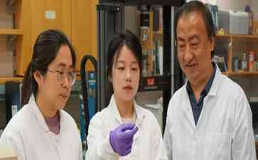中国科学家在Nature上发表文章，开辟“既坚且韧”的人工材料新方向