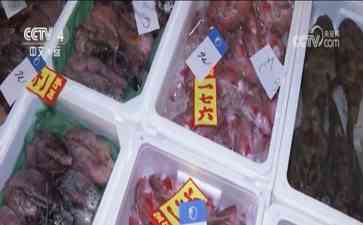 引发广泛关注 核污水排海已影响日本多行业