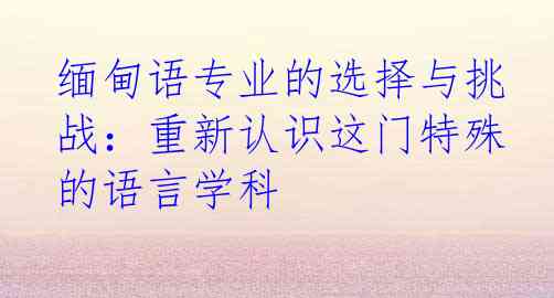 缅甸语专业的选择与挑战：重新认识这门特殊的语言学科