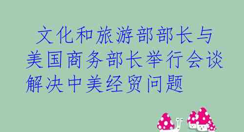  文化和旅游部部长与美国商务部长举行会谈 解决中美经贸问题