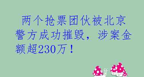  两个抢票团伙被北京警方成功摧毁，涉案金额超230万！