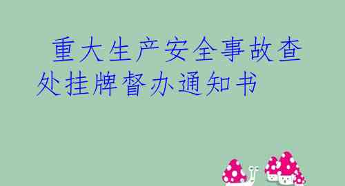  重大生产安全事故查处挂牌督办通知书