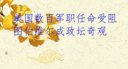  美国数百军职任命受阻 图伯维尔成政坛奇观