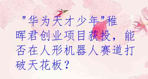  "华为天才少年"稚晖君创业项目获投，能否在人形机器人赛道打破天花板？
