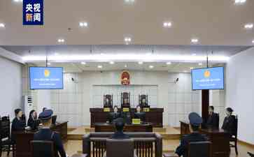  哈尔滨政协原主席姜国文被判无期徒刑，涉贿款超过1亿元