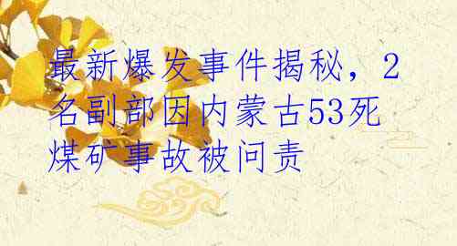 最新爆发事件揭秘，2名副部因内蒙古53死煤矿事故被问责