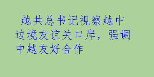  越共总书记视察越中边境友谊关口岸，强调中越友好合作