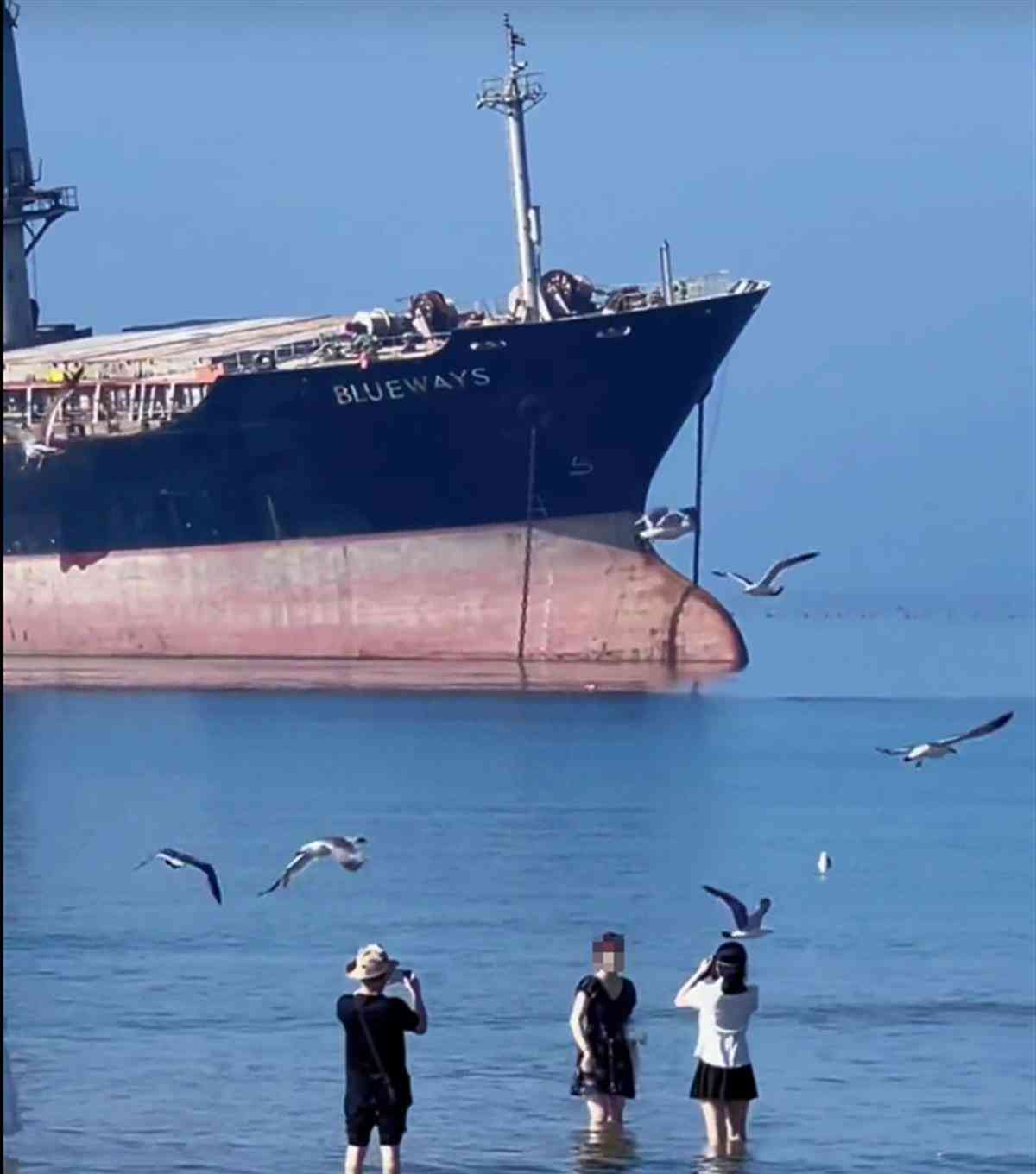 最新焦点事件曝光，外籍货轮搁浅山东海滩成网红打卡点