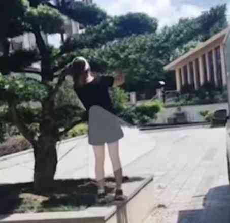  “女子撞断罗汉松树枝被索赔8000元”