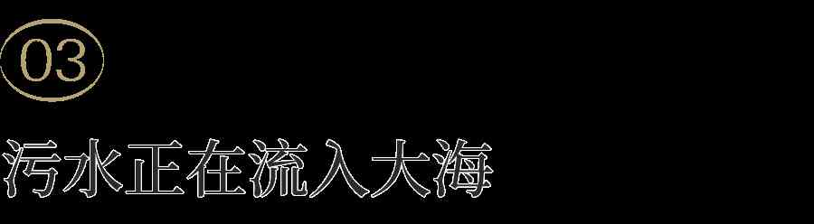  日本启动福岛核污染水排海，国际社会强烈谴责