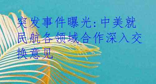 突发事件曝光:中美就民航各领域合作深入交换意见