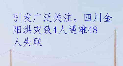 引发广泛关注。四川金阳洪灾致4人遇难48人失联