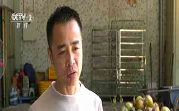 最新曝光，椰子水饮料热销企业扩产仍供不应求