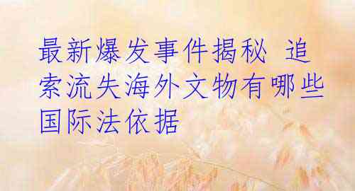 最新爆发事件揭秘 追索流失海外文物有哪些国际法依据