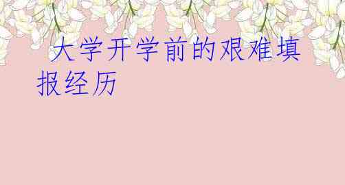  大学开学前的艰难填报经历