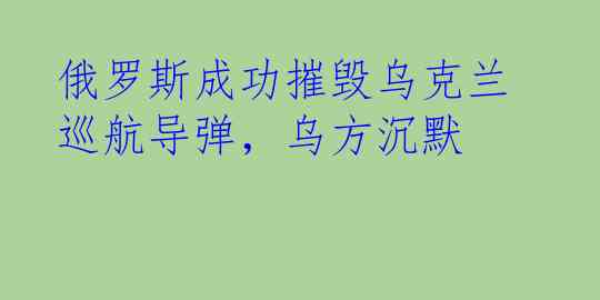 俄罗斯成功摧毁乌克兰巡航导弹，乌方沉默