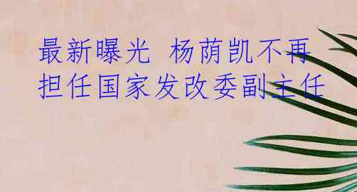 最新曝光 杨荫凯不再担任国家发改委副主任