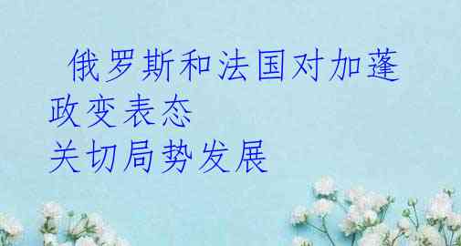  俄罗斯和法国对加蓬政变表态 关切局势发展