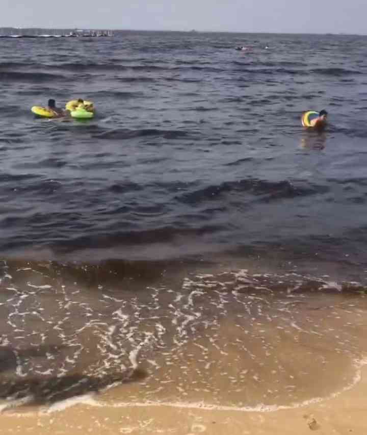 最新焦点新闻！辽宁一海域海水变黑 当地回应