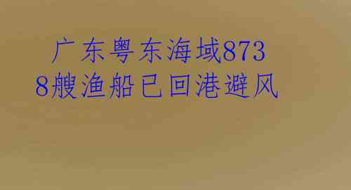  广东粤东海域8738艘渔船已回港避风 