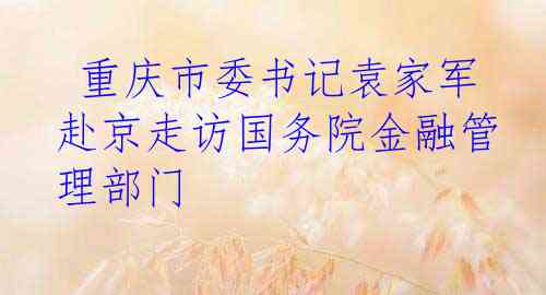  重庆市委书记袁家军赴京走访国务院金融管理部门