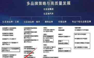  比亚迪新款中大型MPV亮相2024，挑战长城魏牌高山