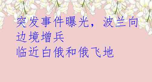 突发事件曝光，波兰向边境增兵 临近白俄和俄飞地