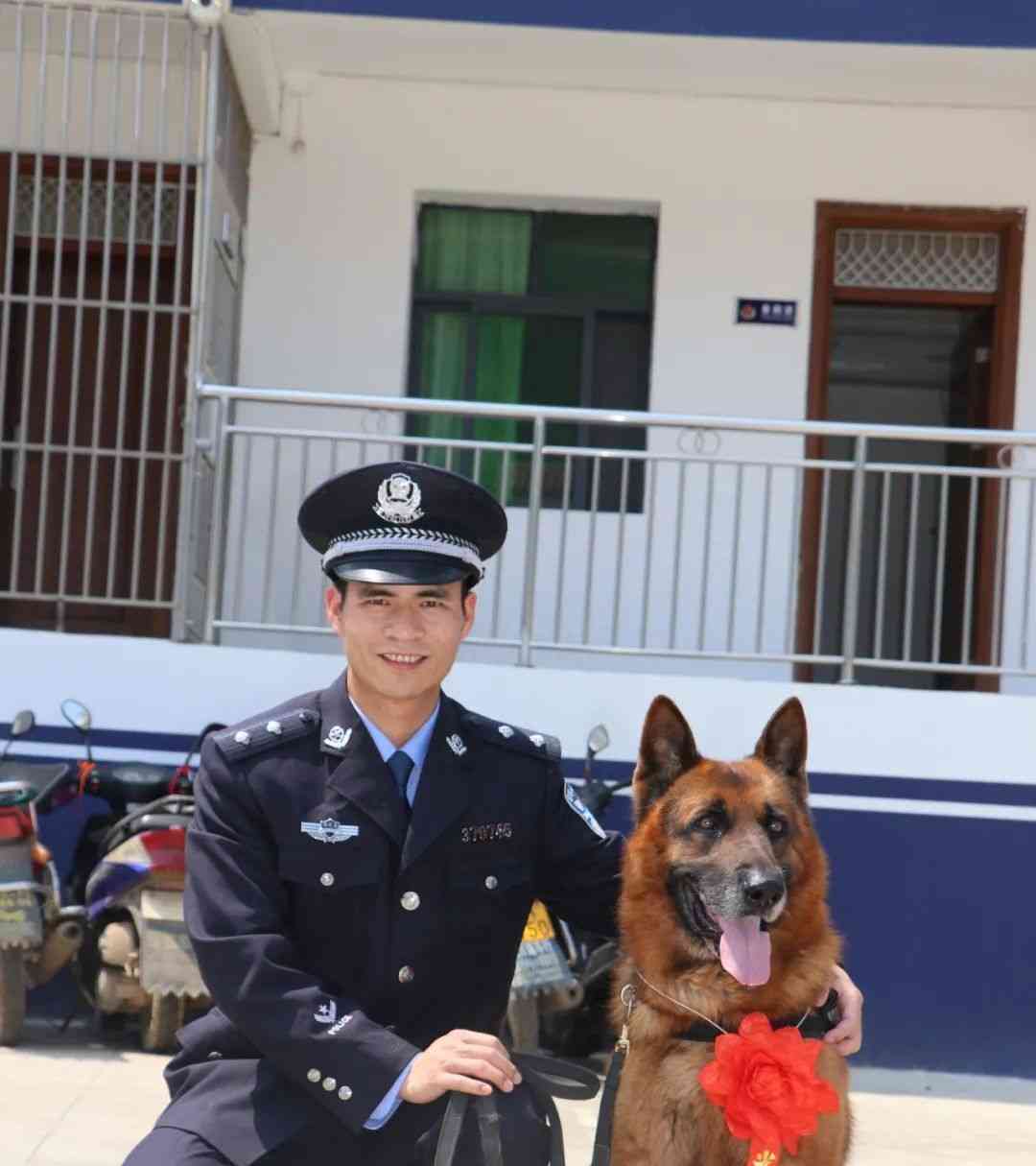 最新社会热议事件 退役后多次“离家出走”的警犬离世