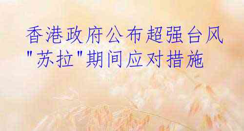 香港政府公布超强台风"苏拉"期间应对措施