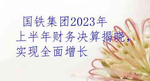  国铁集团2023年上半年财务决算揭晓，实现全面增长