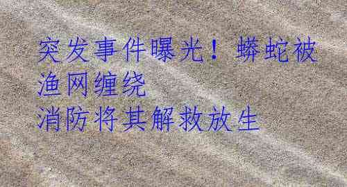 突发事件曝光！蟒蛇被渔网缠绕 消防将其解救放生