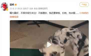 最新重大事件披露:《血色恋情》导演妻子疑回应孙菲菲