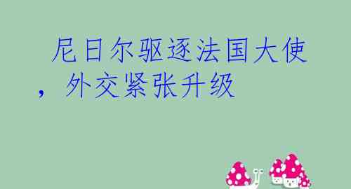 尼日尔驱逐法国大使,外交紧张升级